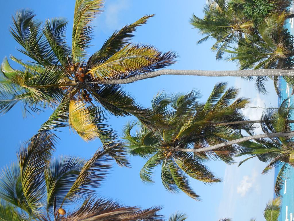 Swahili Beach Resort Zanzibar Eksteriør bilde