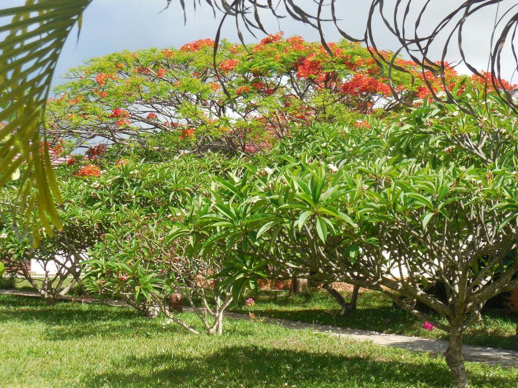 Swahili Beach Resort Zanzibar Eksteriør bilde